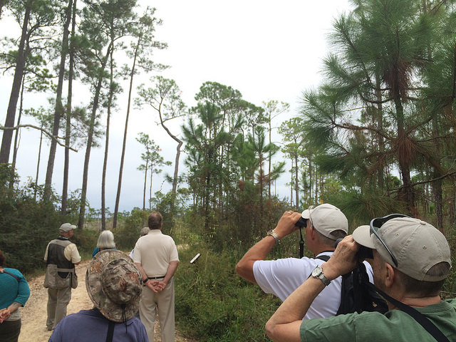 Alabama Coastal Birdfest