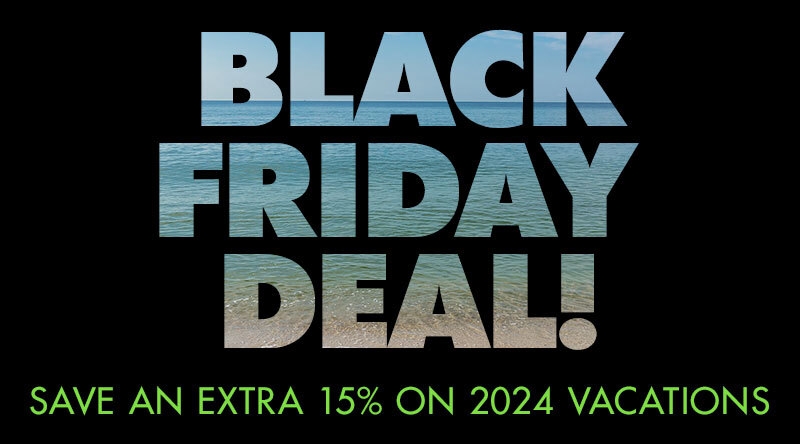 Early Access To 2024 Black Friday Deals!