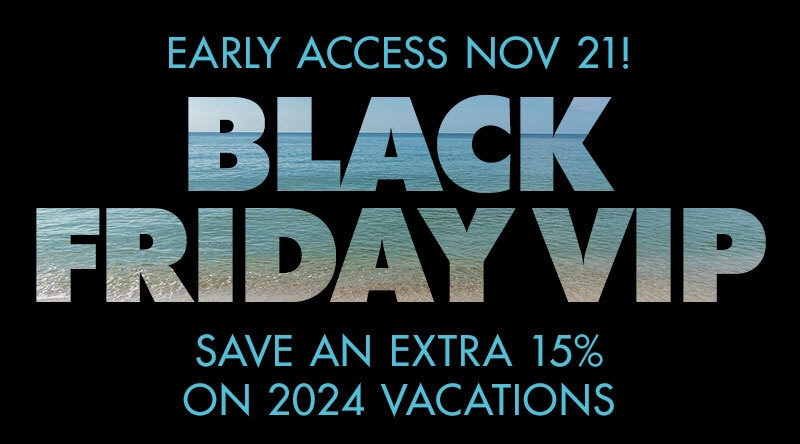 VIP Early Access To 2024 Black Friday Deals!